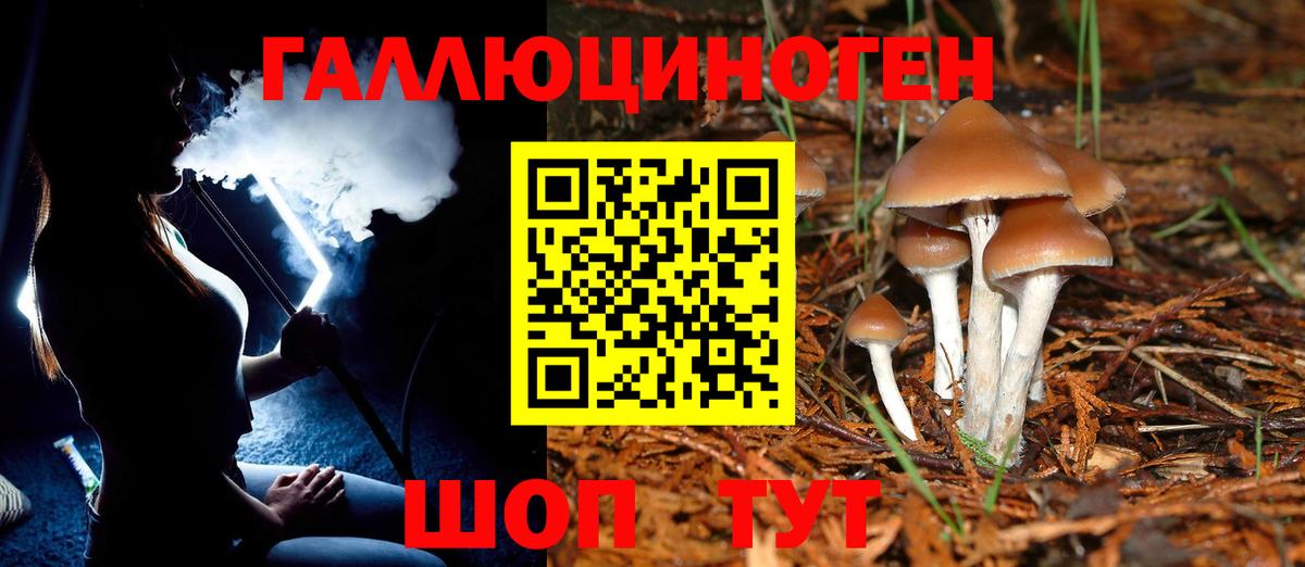 Тимашёвск  Галлюциногенные грибы мухоморы  Вход с VPN 